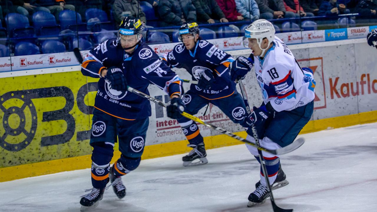 Corgoni z Košíc s mikulášskou nádielkou