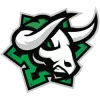 Logo Nove Zamky Miniatúra